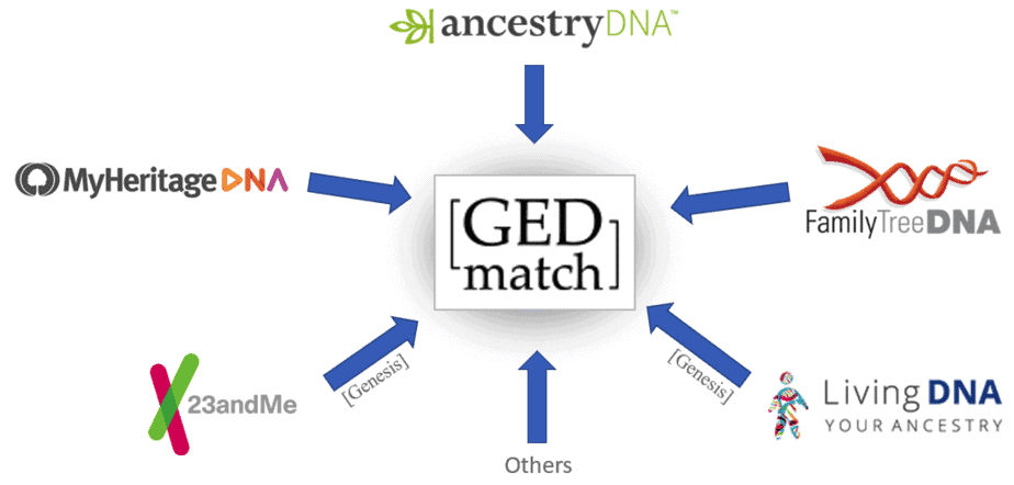 GEDmatch