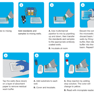 Kit xét nghiệm Helica™ Aflatoxin ELISA - Ảnh 2