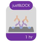 JustBlock.WEB_-600×600