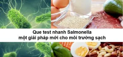 Que test nhanh Salmonella