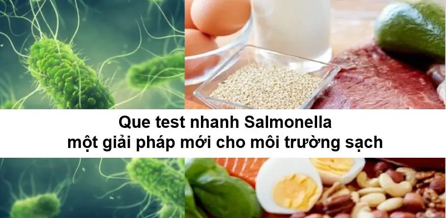 Que test nhanh Salmonella