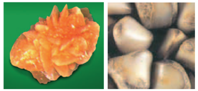 phân tích sỏi thận bằng FT-IR